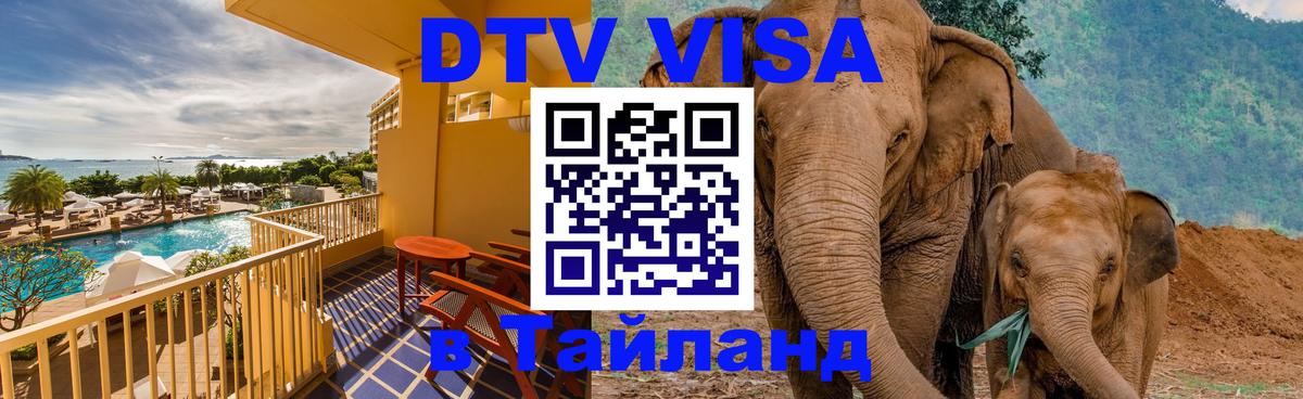 Сколько стоит DTV виза — актуальные цены, оформление даже без документов - 05.10.2025 